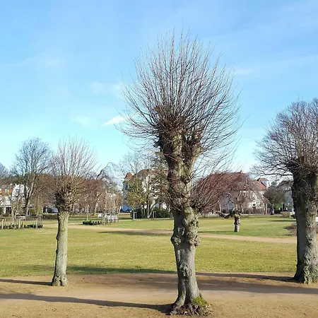 Parkblick - 01-08